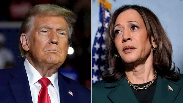 What would a Kamala Harris or Donald Trump victory mean for the stock market?