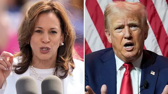 What would a Kamala Harris or Donald Trump victory mean for the stock market?