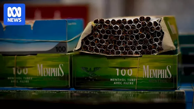 NSW to crack down on tobacco retailers selling under-the-counter cigarettes, in bid to curb black market