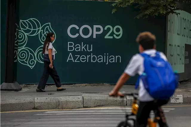 COP29: Crucial Moment For Business To Accelerate Global Climate Action