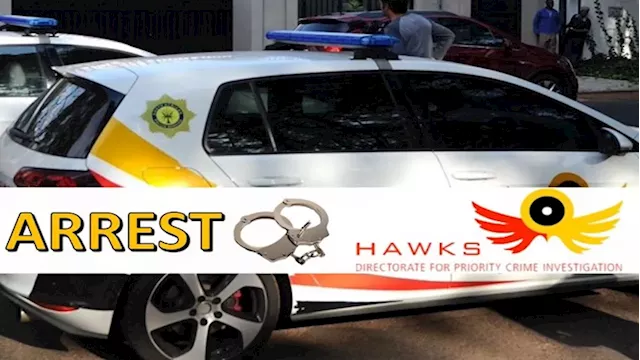 Hawks arrest 8 suspects in R4 billion alleged diamond investment scam - SABC News