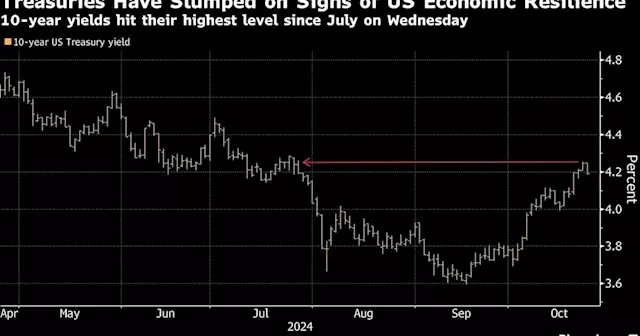 US Treasuries Rebound as Market Takes Break From Days of Losses