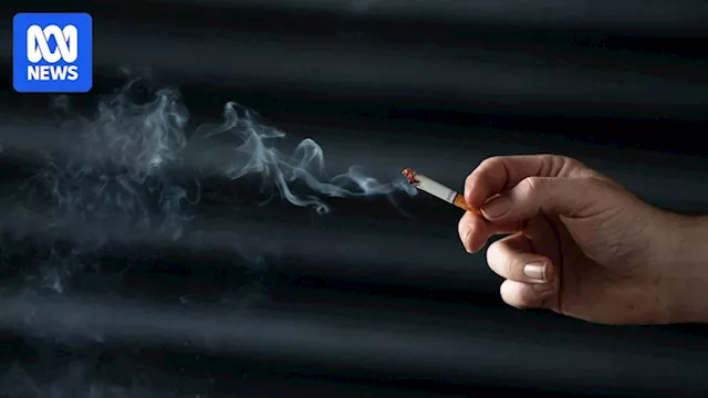 Should the tobacco tax be reduced? MPs speak out as cigarette prices soar and illegal black market spirals 'out of control'