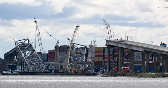 Companies to pay $101.9m to settle Baltimore bridge collapse lawsuit