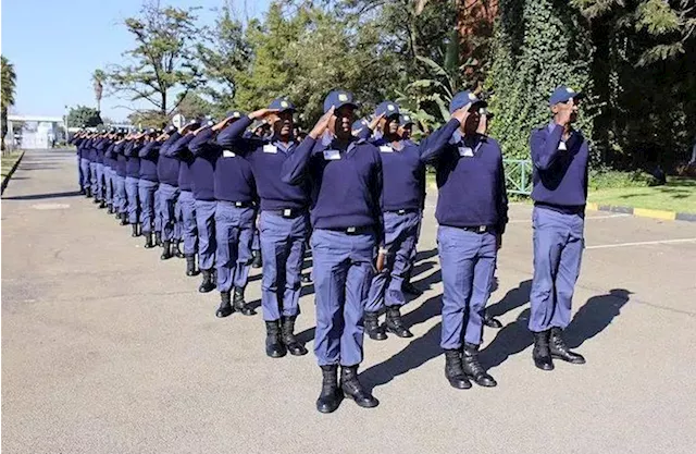 10 000 trained police officials deployed to high crime areas: ANC - SABC News - Breaking news, special reports, world, business, sport coverage of all South African current events. Africa's news leader.