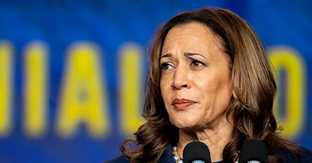 Breitbart Business Digest: Kamala Harris Gets the Wrong Kind of Improving Consumer Sentiment