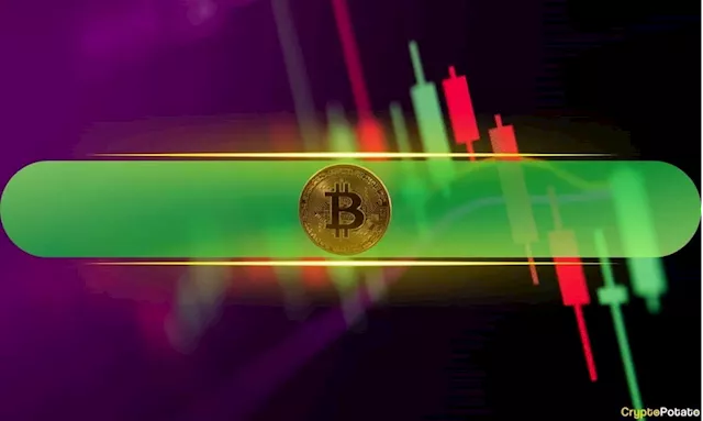 Bitcoin Reclaims $68K Level, Dogecoin and Polkadot Register Impressive Gains (Market Watch)