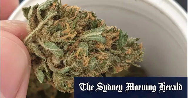 Australia’s biggest medicinal cannabis company launches legal action over news story