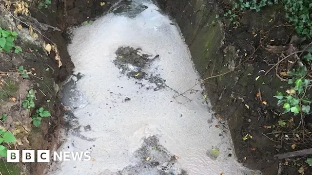 Polluting companies fined after fish die in Worcestershire brook