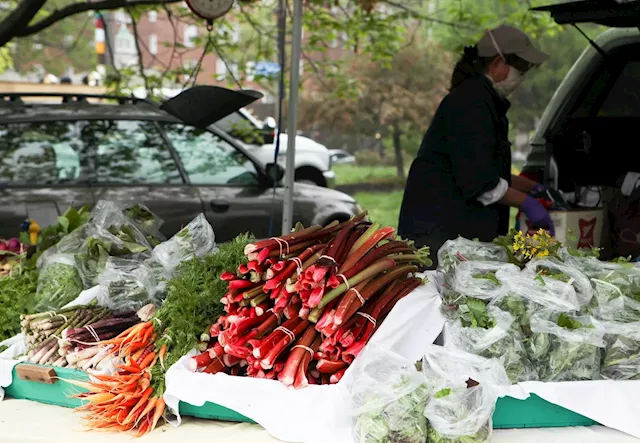 North Union Farmers Market moving its Crocker Park market indoors this weekend