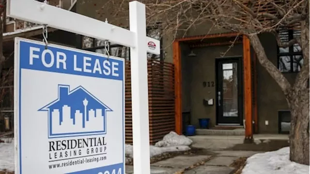 Calgary's red-hot rental market may be cooling