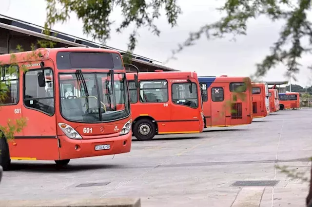 New Piotrans buses hit Joburg streets after company turnaround