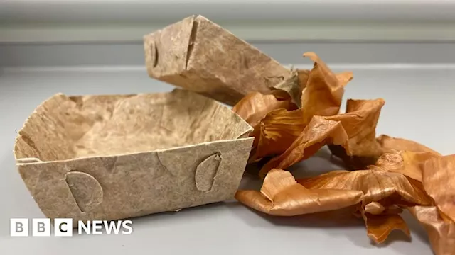 Business creating onion skin packaging to reduce waste