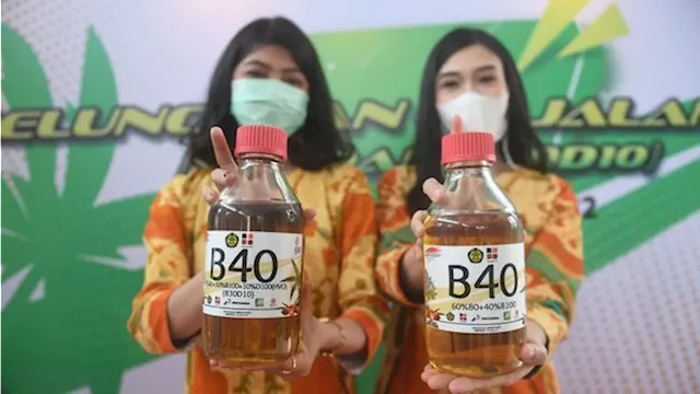 Indonesia B40 biodiesel plan would be 'catastrophic' for world market, Oil World analyst says