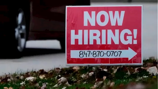 US economy adds just 12,000 jobs in October as hurricanes hit labour market