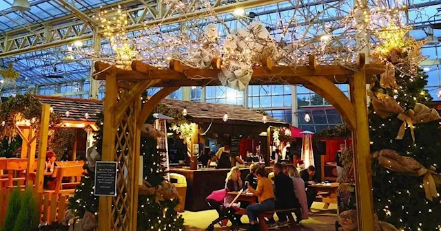 Winter Food Market is back at popular garden centre and bigger than ever