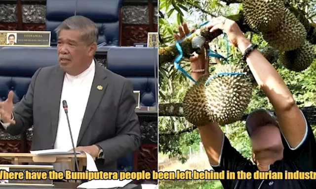 Agriculture Minister Questions Why Some Races Fail in the Durian Industry While Others Become Millionaires