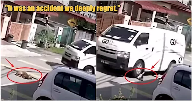 M’sian Courier Company Issues Apology After Viral Video Shows Van Driver Running Over Dog in Banting