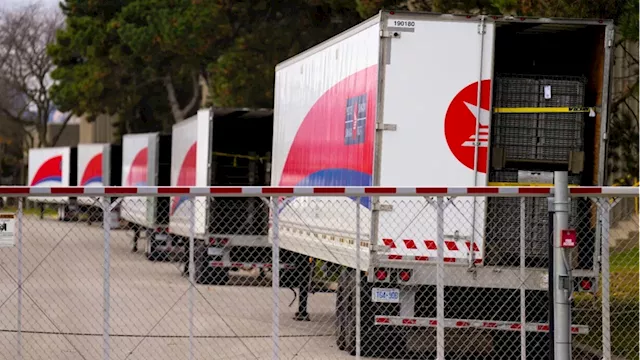 Business owners in Ottawa raising concerns amid Canada Post strike ahead of the holiday season