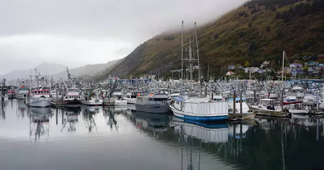 Dire condition of Alaska’s seafood industry has many causes and no easy fixes, experts say