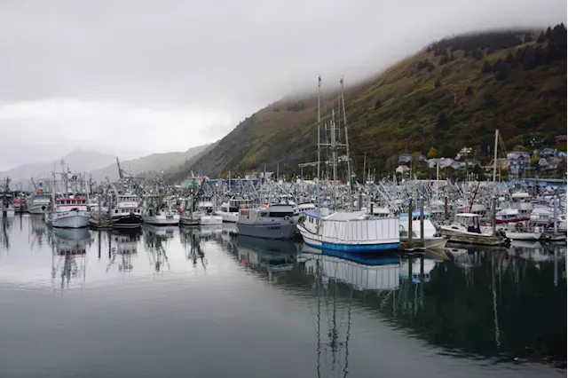 Dire condition of Alaska’s seafood industry has many causes and no easy fixes, experts say