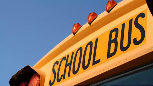 School bus company owner charged for forging medical records to drive bus: troopers