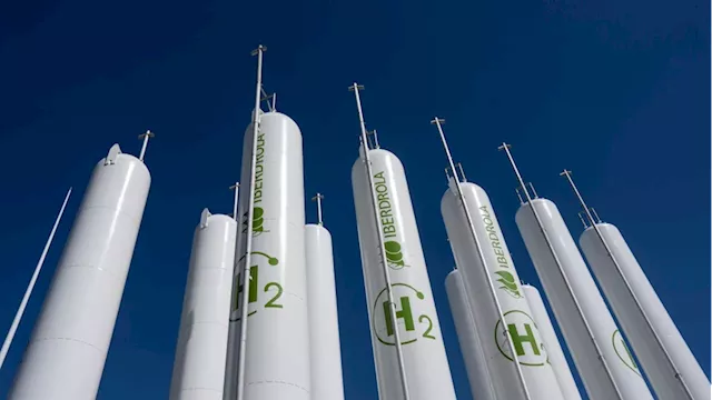 Newfoundland wind-to-hydrogen company eyes data centre as international market lags