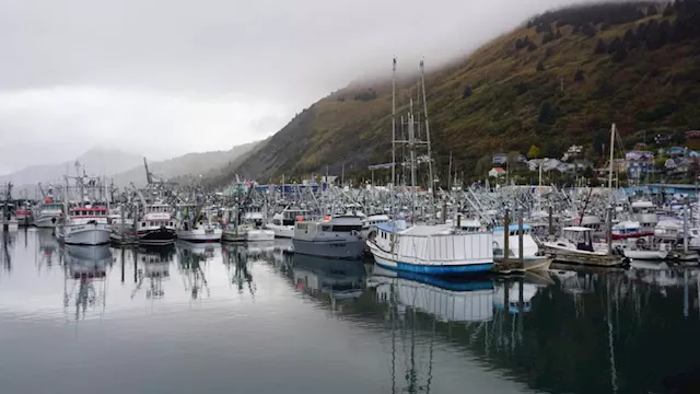 Dire condition of Alaska’s seafood industry has many causes and no easy fixes, experts say