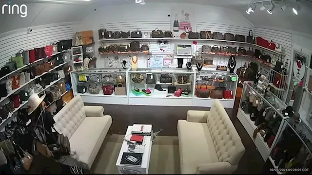 Burglars allegedly steal $50,000 worth of designer bags again from small business