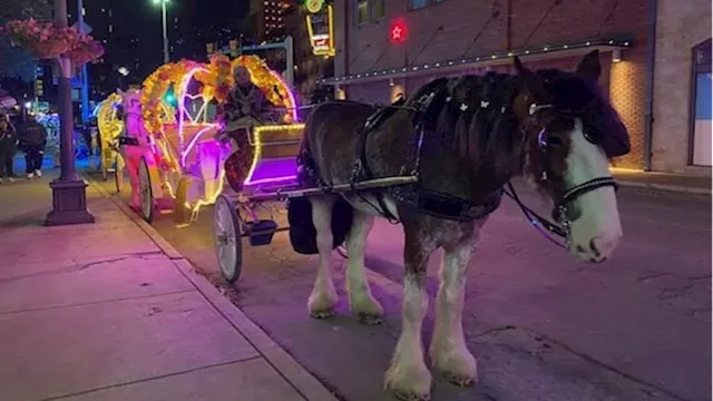 Horse carriage briefing takeaways: 3 options to phase out controversial business in downtown San Antonio