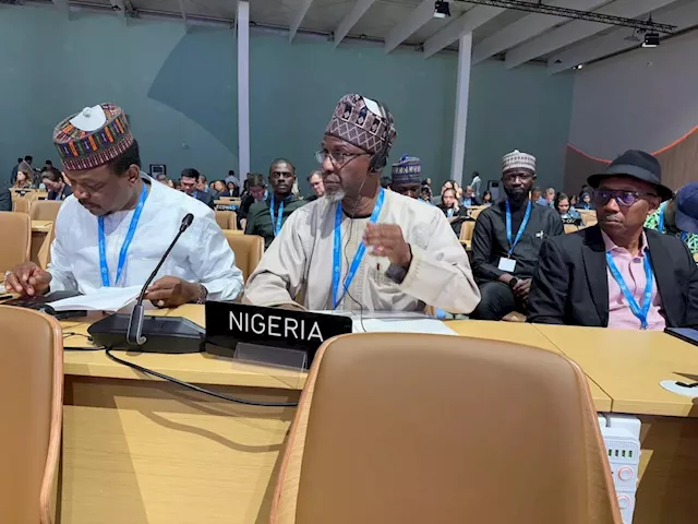 COP29: Nigeria developing framework for participation in carbon market, says minister