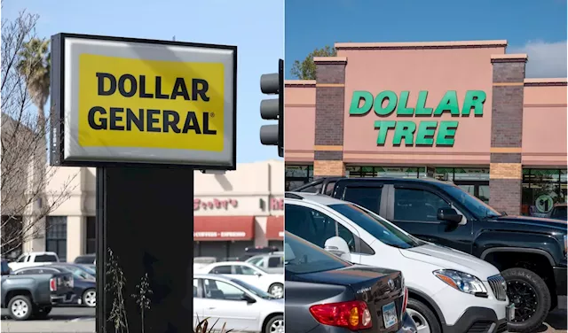 Here's why Dollar Tree and Dollar General stocks have plummeted