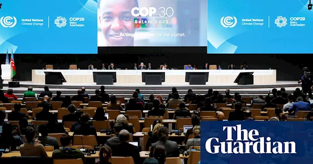 Cop29’s new carbon market rules offer hope after scandal and deadlock