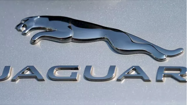 Jaguar managing director defends company after rebrand sparks confusion: 'Living vividly'