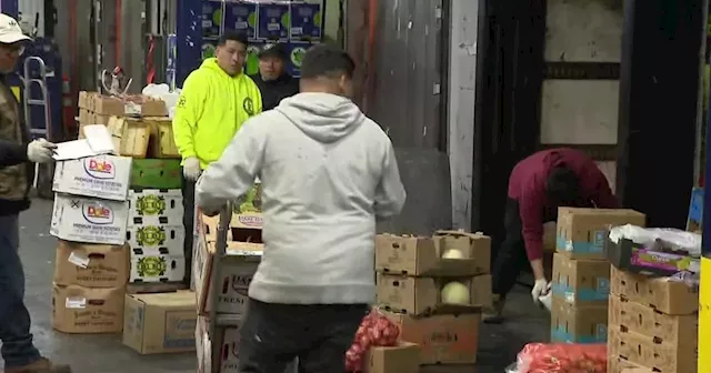 Pre-Thanksgiving rush at Hunts Point Produce Market in the Bronx brings food from the Bronx to your plate