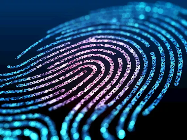 How Identity Access Management Can Help Your Business