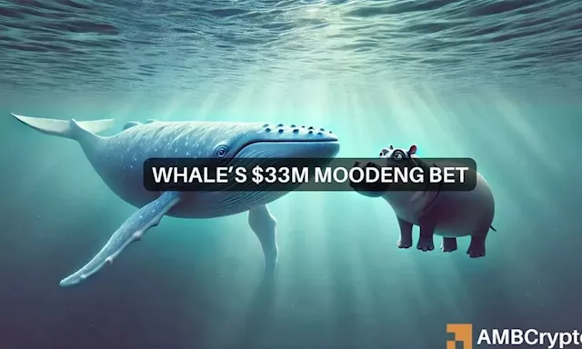 Whale Accumulates Massive MOODENG Holdings, Market Remains Bearish