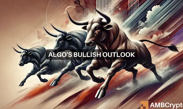 ALGO Sees 12% Surge, Gains Third Place in Market