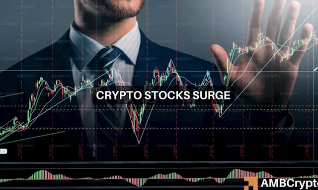 Bitcoin Price Surge Draws More Capital into Crypto Stocks