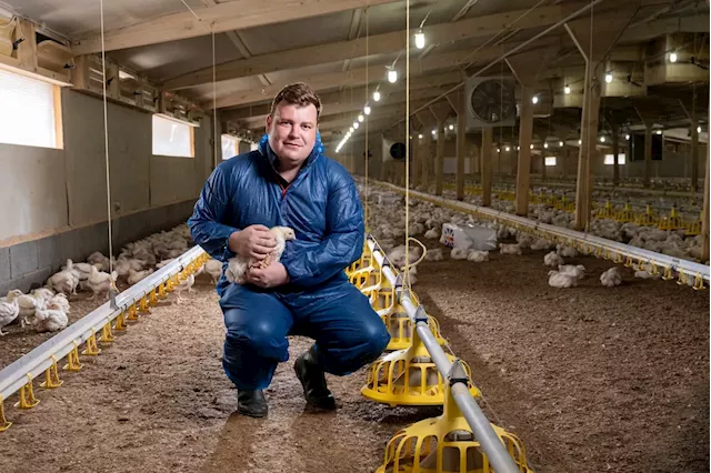 Shropshire farmer awarded industry accolade for poultry sector work