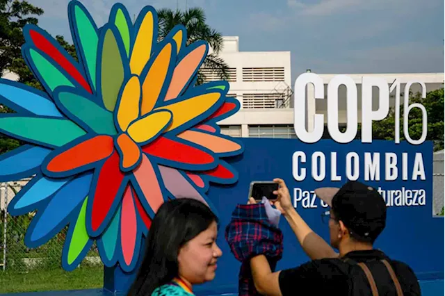 Global deal on nature finance thwarted in overtime talks at COP16