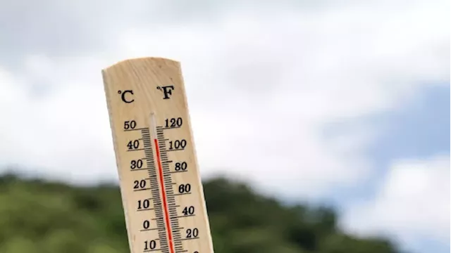 Calls for people to take necessary precautions to avoid heatstroke - SABC News - Breaking news, special reports, world, business, sport coverage of all South African current events. Africa's news leader.