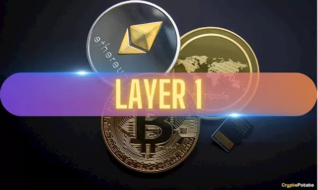 Cryptocurrency Market Sees Explosive Rally in 2024, Layer 1 Blockchains Take Center Stage