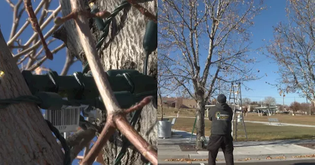 Utah business urges safety when lighting trees for holidays