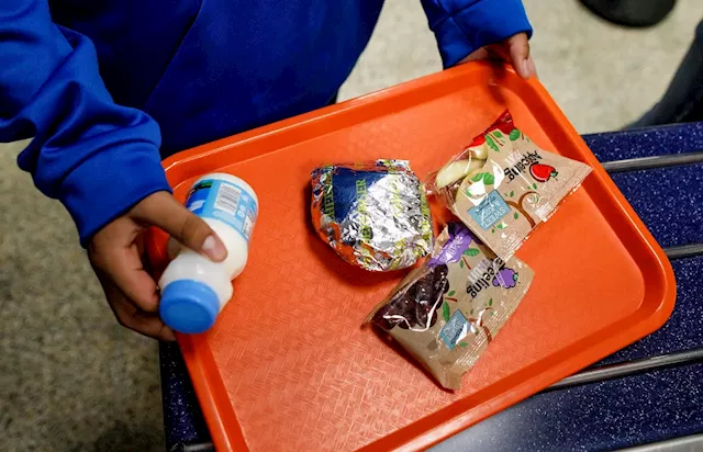 N.J.-based school lunch payment company rips off parents with ‘junk fees,’ lawsuit says