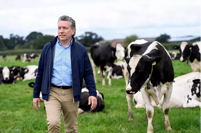 Partnership looks to put sustainability at the heart of the dairy industry