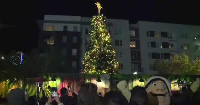 East Village's annual tree lighting and holiday market helps local businesses