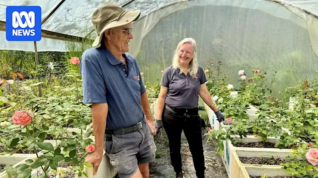 Flower Grower's Pop-Up Sale Saves Business After Rejection