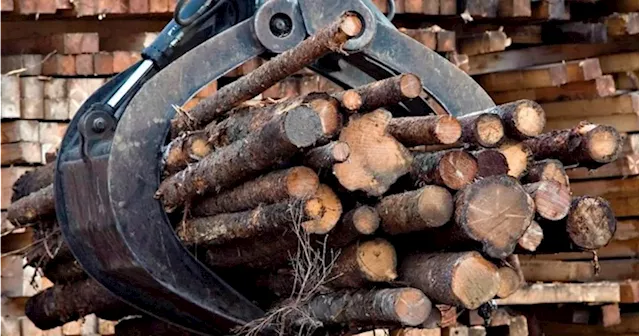 Quebec forest industry already under pressure amid Trump tariff threat: Legault