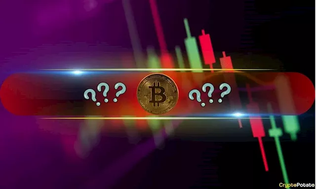 Crypto Market Cap Slumped by $300 Billion Amid BTC, Altcoin Massacre: Market Watch